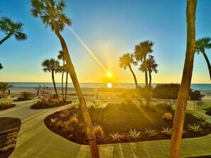 A paved pathway leading to a beach with palm trees and a sunset view. - Renovated 3/2 Beach Condo Sand Castle I 205 Hot Tub Heated Pool (Indian Shores)