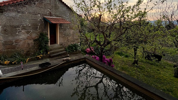 Pool - Casa Da Adega, between the Minho River and the Mountains (Sá)