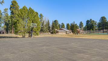 An outdoor basketball court with a hoop, surrounded by trees and buildings.