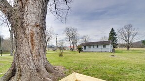 A large tree, a grassy field, and a building in the background. - 2 Mi to Nat'l Park: Riverside Smoky Mtn Cabin! (Townsend)