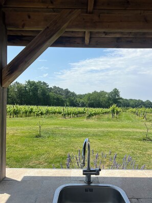 Property grounds - Cosy 2-bedroom cottage among vineyards & forest — Bordeaux region (Massugas)