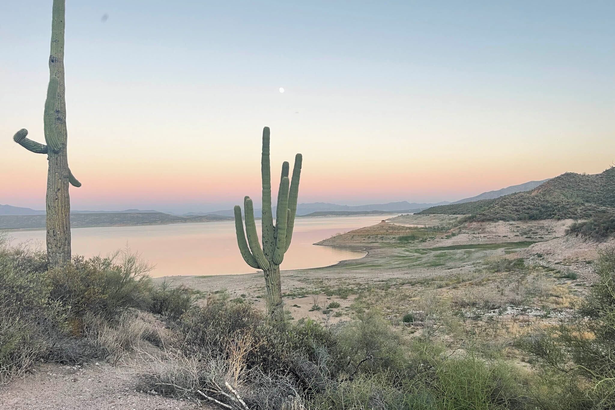 A desert landscape with cacti and a body of water.