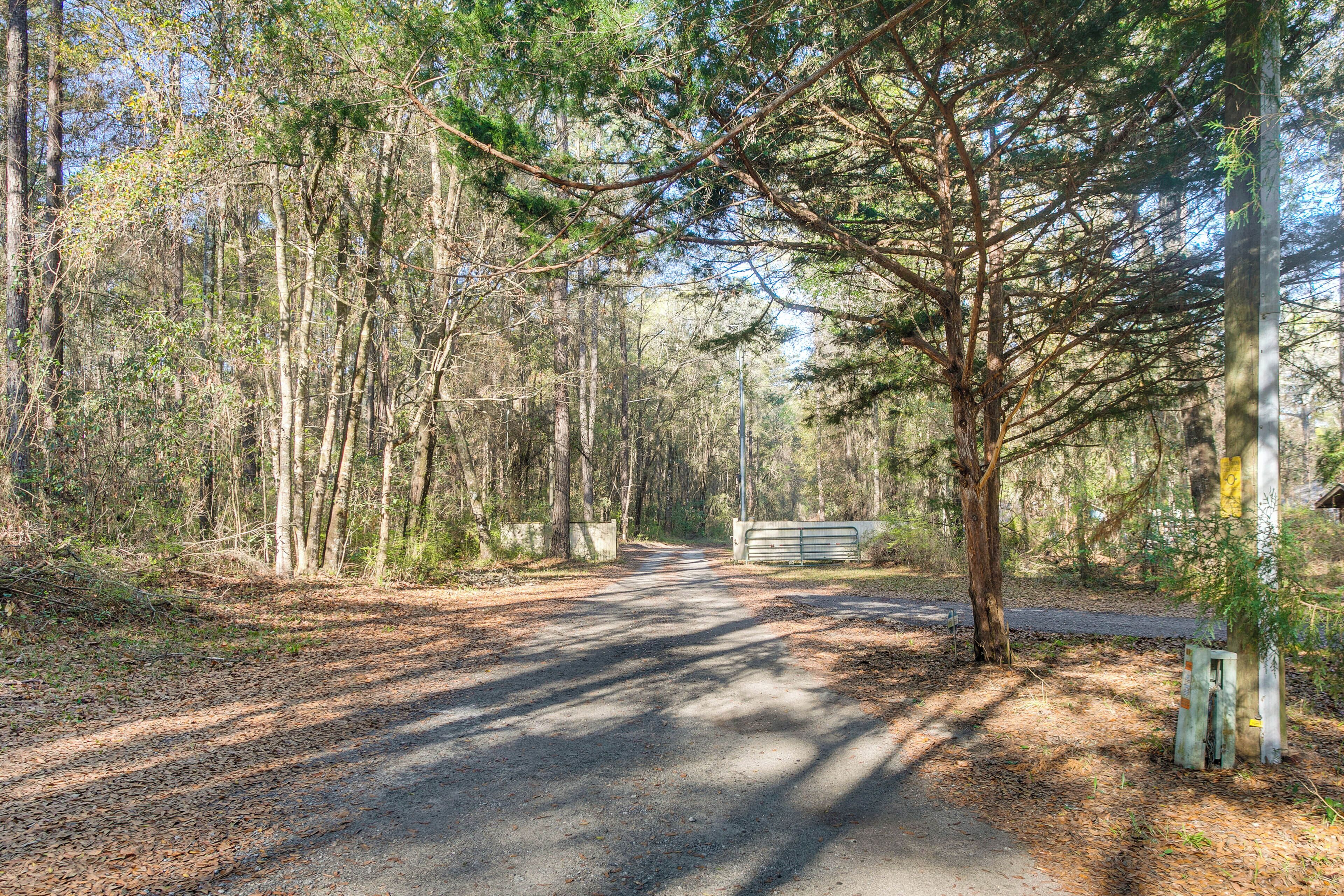 A forested area with a paved path leading to a gated entrance.