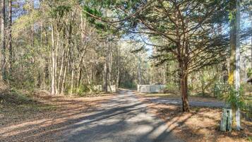 A forested area with a paved path leading to a gated entrance.