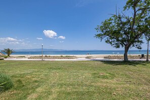 A grassy area with a tree, a stone pathway, and a view of the sea.