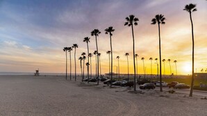 Una spiaggia con palme e un molo sullo sfondo.
