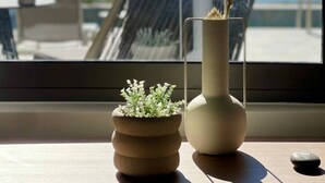 Une vue sur l’océan, prise depuis une fenêtre, avec un vase de fleurs séchées et une petite plante en pot sur une table en bois.