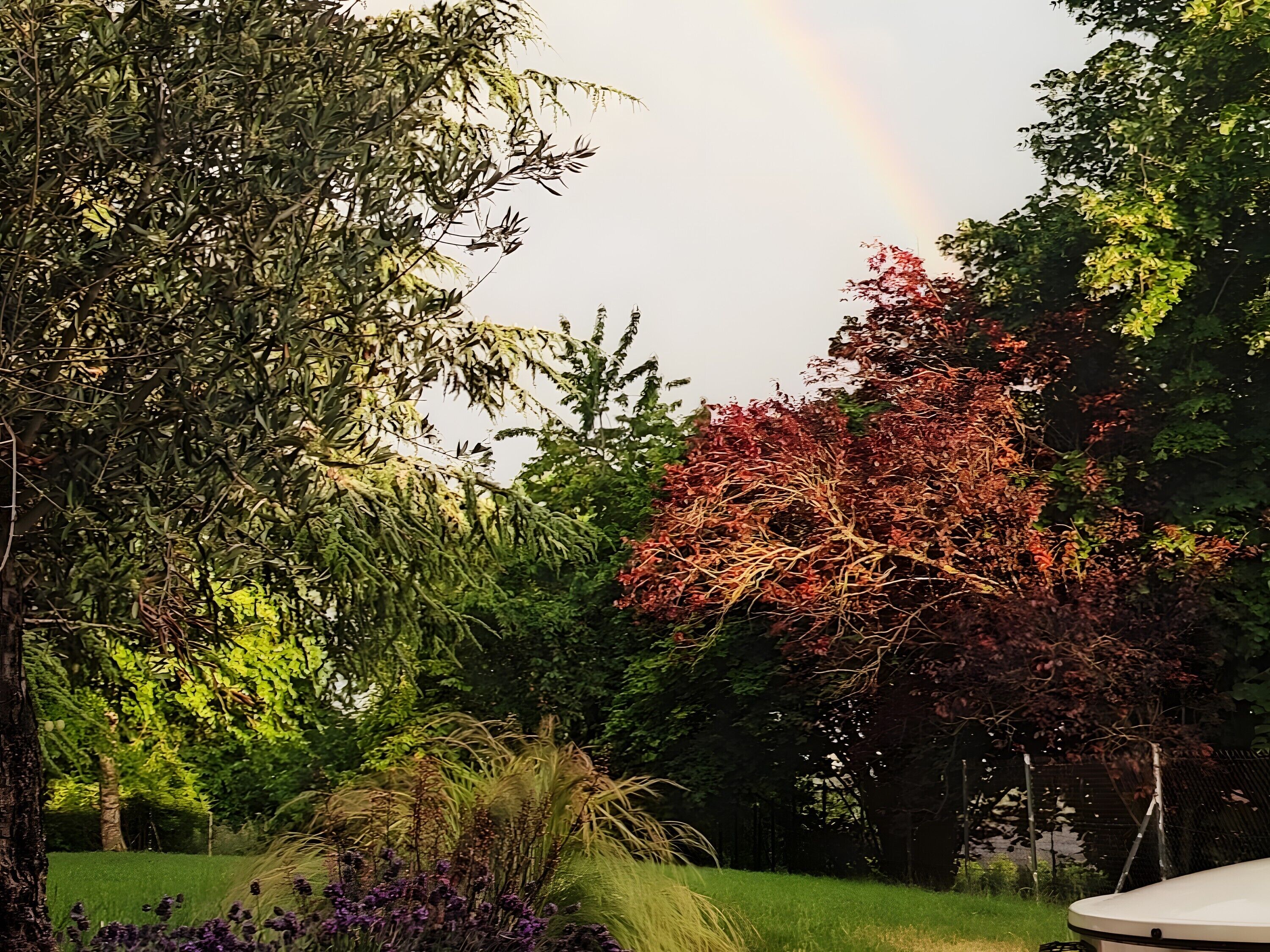 Àrea exterior de l'allotjament