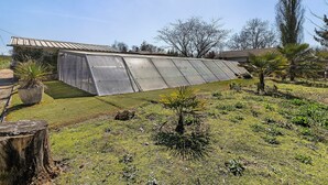 Un invernadero con techo inclinado, rodeado de césped, plantas pequeñas y un tocón de árbol.