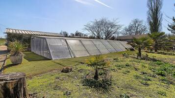 Jardines del alojamiento