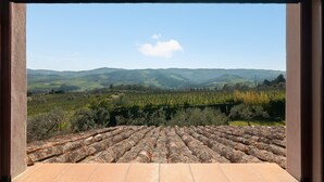 Una terraza con vistas a un viñedo y colinas distantes.