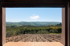 Interior - Antico Frantoio – Spacious Apartment in the Heart of Chianti with Pool (Greve in Chianti)