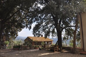 Property grounds - Antico Frantoio – Spacious Apartment in the Heart of Chianti with Pool (Greve in Chianti)