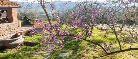 Un edificio in pietra con tetto in tegole, un giardino fiorito di fiori rosa e un panorama montuoso sullo sfondo.