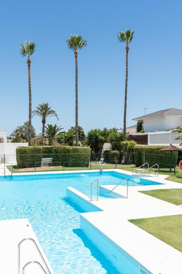 A swimming pool with clear blue water, surrounded by palm trees and a well-maintained hedge.