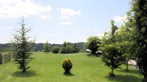 A grassy field with trees and a clear sky.