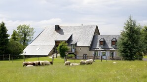 A house with a sloped roof, a fenced yard, and a group of sheep grazing.