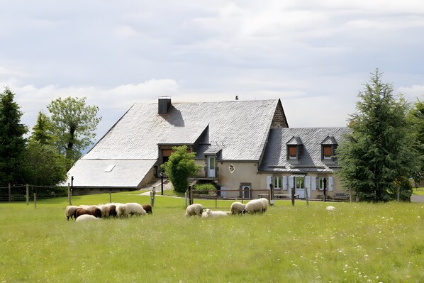 Extérieur