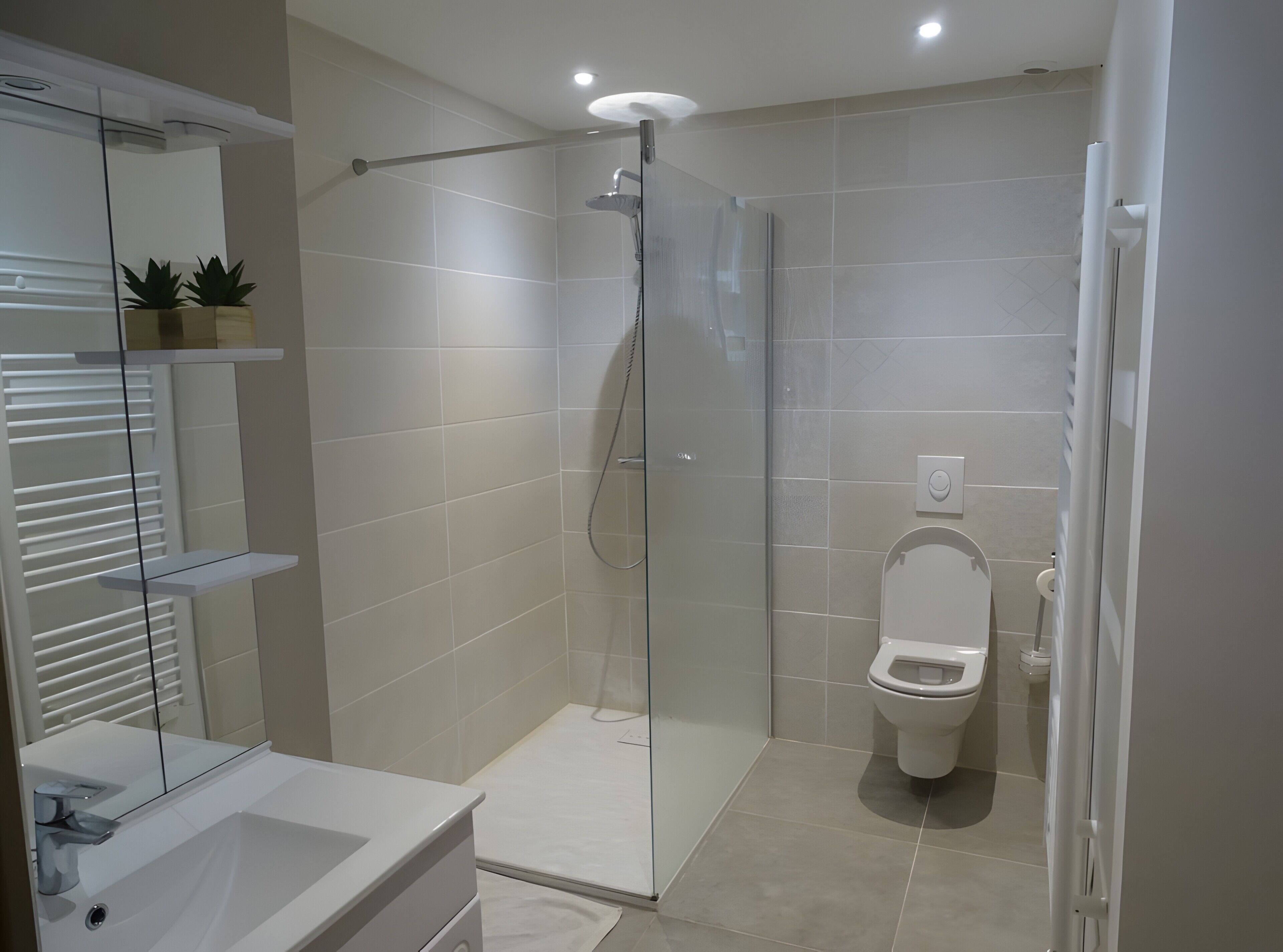Shower, hair dryer