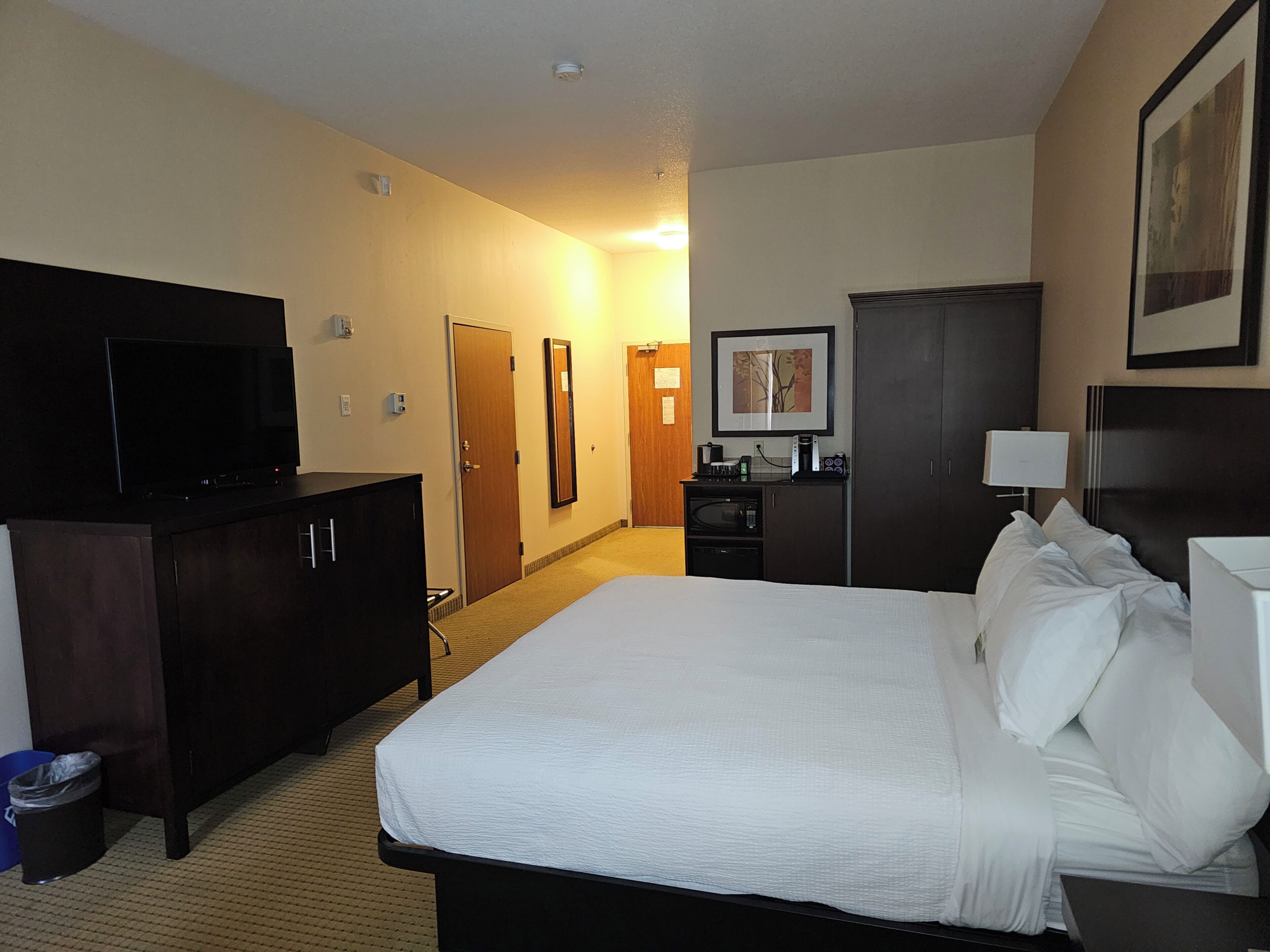A hotel room with a bed, a television, a desk with a computer, a microwave, and a framed picture on the wall.