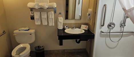 Un baño con inodoro, lavamanos y ducha.