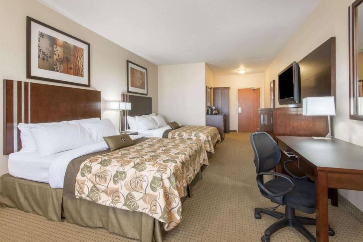 Quarto de hotel com duas camas, uma escrivaninha, uma cadeira, televisão e porta para uma casa de banho.