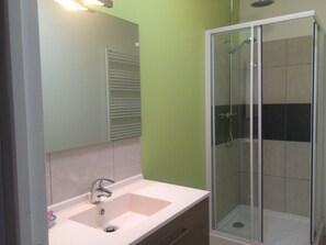 Shower, hair dryer - Le petit gîte de la Bredanchère – Tranquillity in the Countryside (Lathus Saint-Remy)