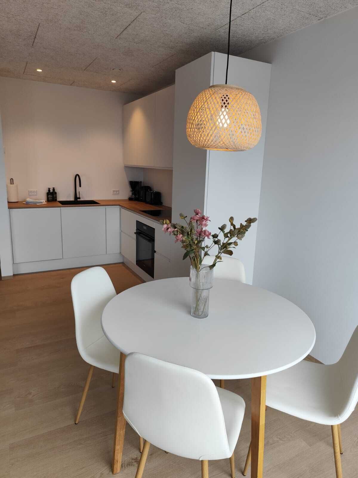 Klassiek appartement, 2 slaapkamers, balkon | Privékeuken | Een koelkast/vriezer, een oven, een kookplaat, een vaatwasser