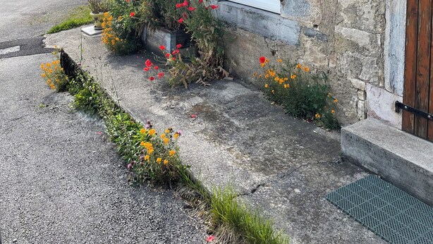En byggnad av sten med ett fönster, en dörr och en liten trädgård med blommor.