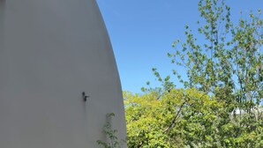 Un balcon avec deux fauteuils de jardin en bois, une plante en pot et une vue sur les arbres et le ciel.