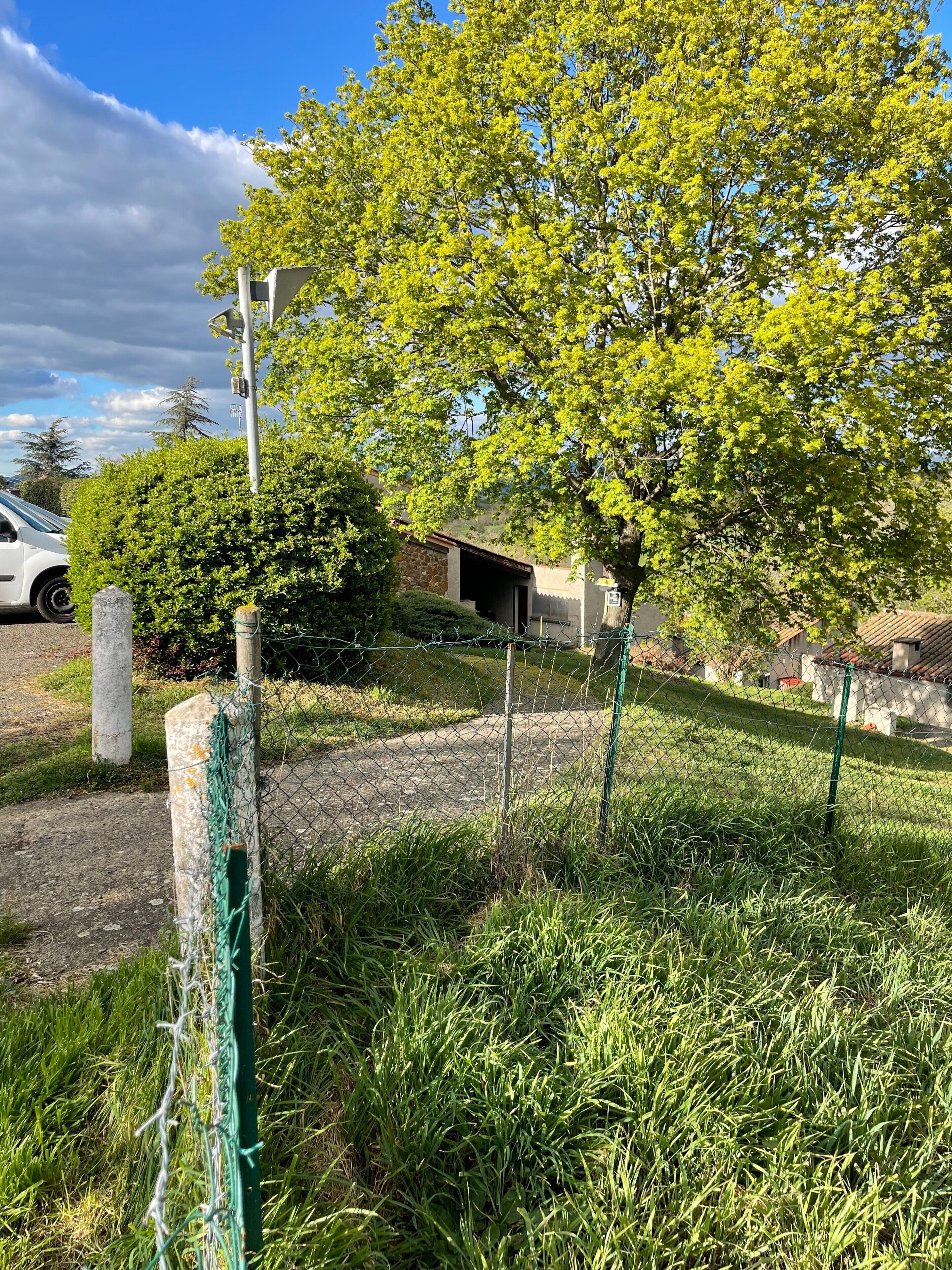 En afgrænset have med et træ, en bygning i baggrunden og en hvid bil parkeret i nærheden.