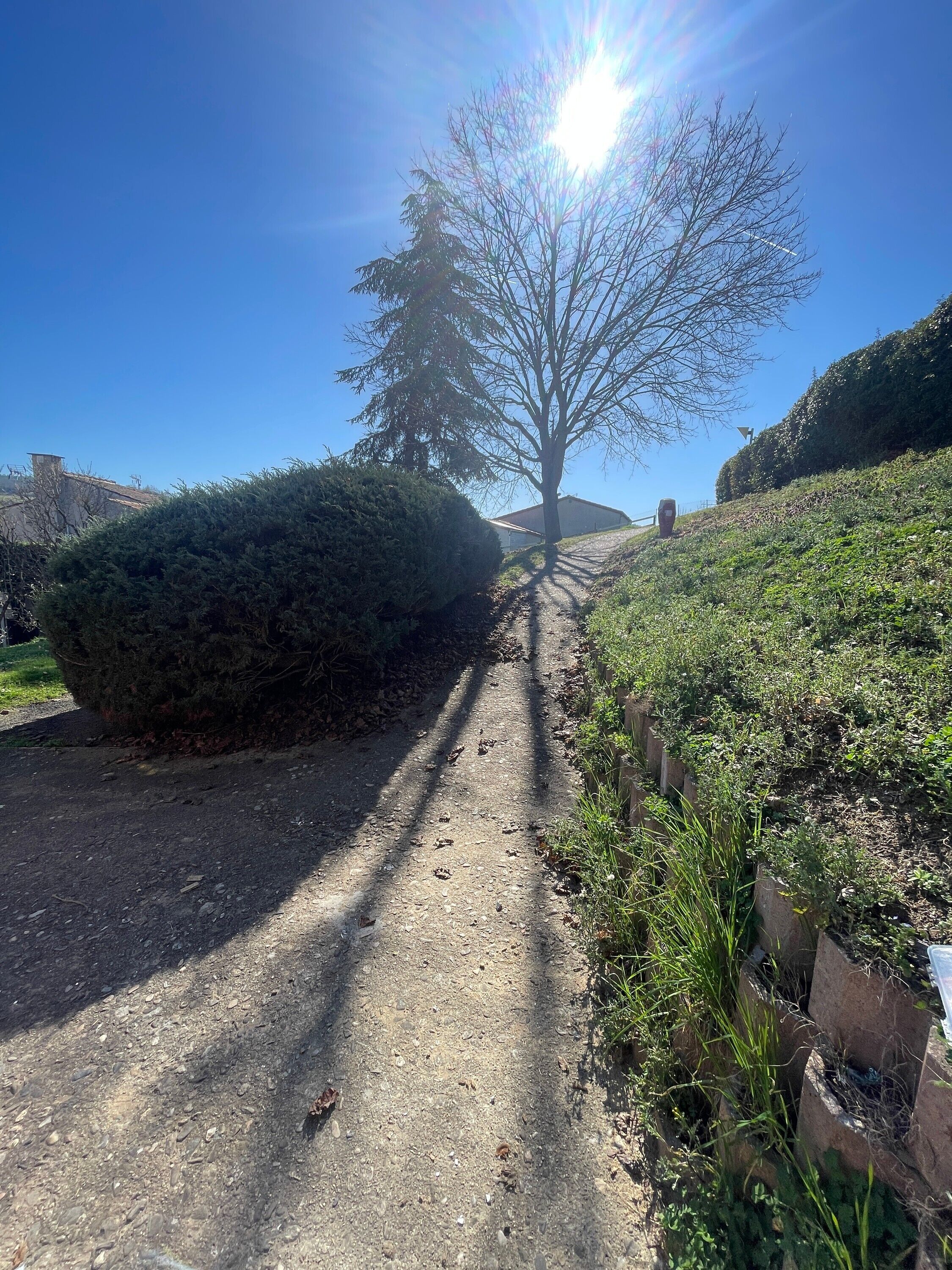 Jardines del alojamiento