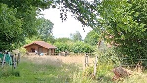 Entorno rural con una casa de madera, una bicicleta y una cerca.