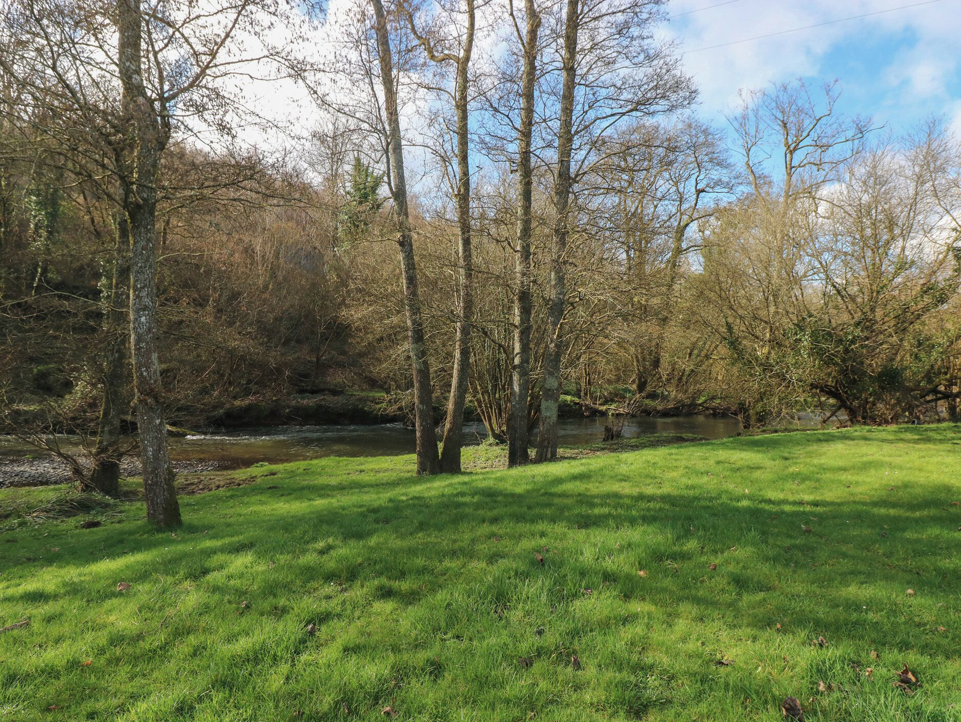 Een grasveld met bomen en een rivier.