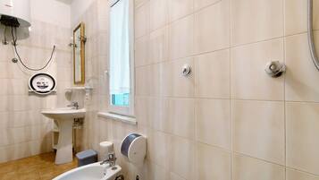 A bathroom with a sink, bidet, mirror, and shower.