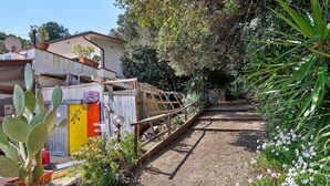 Un chemin de jardin menant à un bâtiment sur lequel est installée une antenne parabolique, avec des plantes en pot et un cactus.