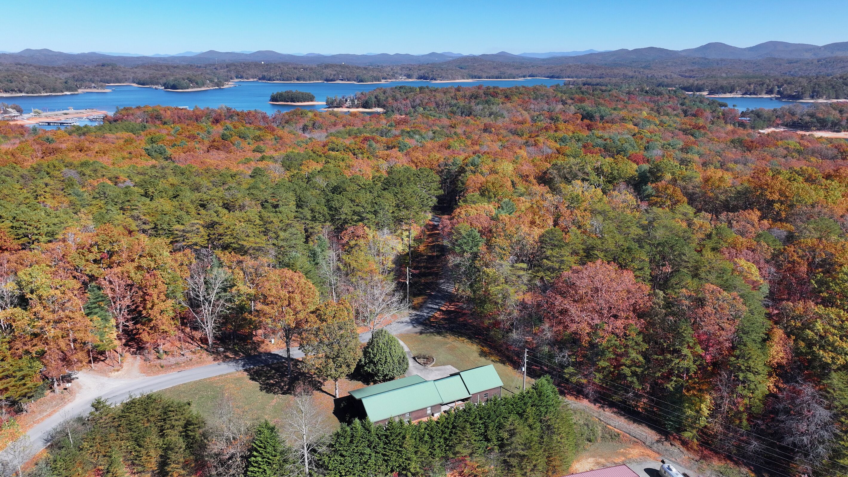 A forested area with a building and a road.