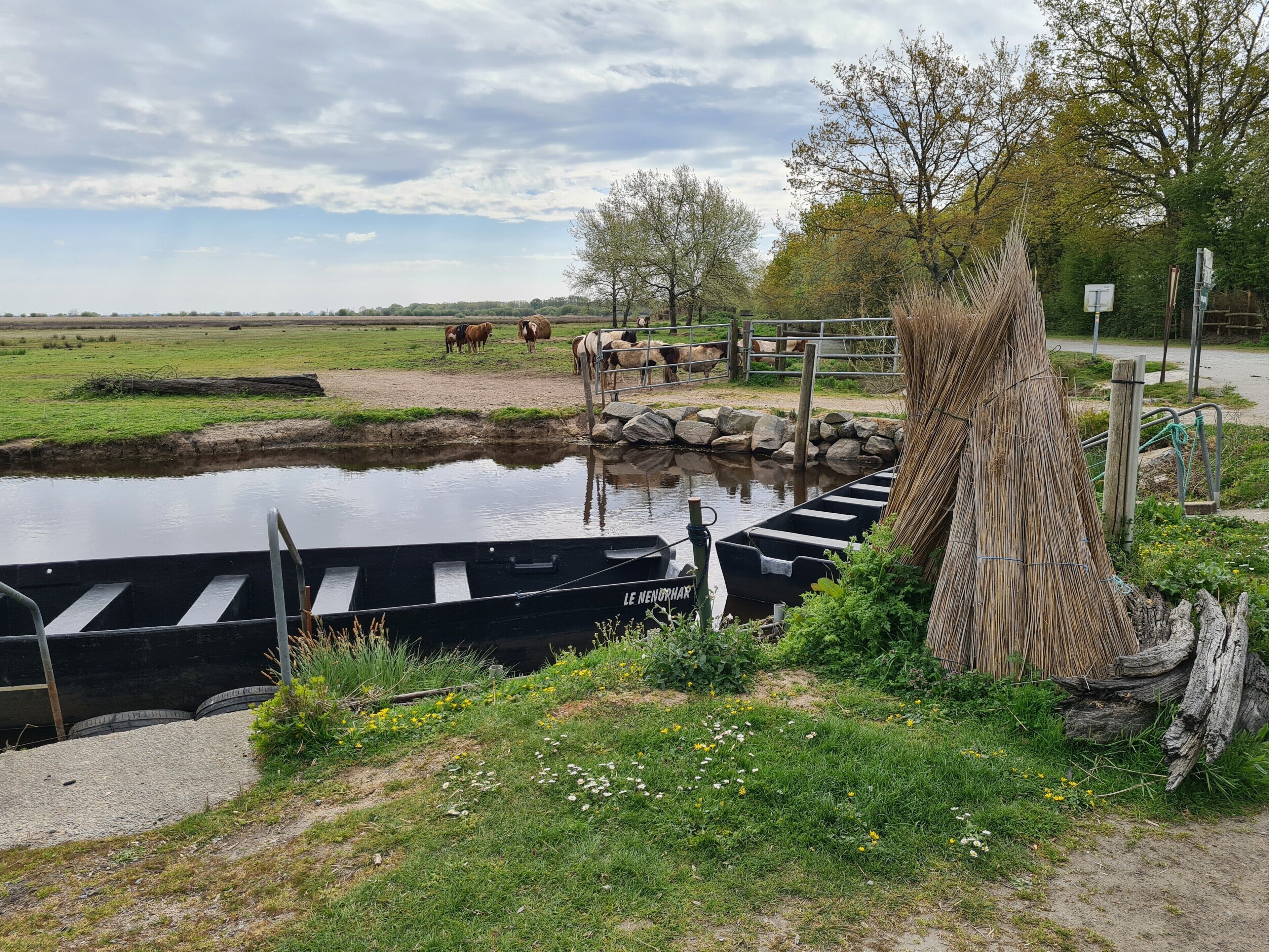 A rural landscape with a water channel, horses, and a wooden fence.