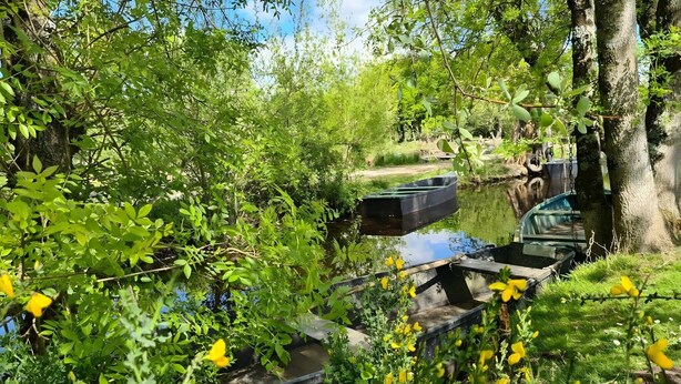 Eine ruhige Flusslandschaft mit anlegenden Booten, umgeben von üppigem Grün und Bäumen.