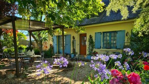 Ein Garten mit einer Pergola, ein gelbes Haus mit blauen Fensterläden und verschiedenen Blumen.