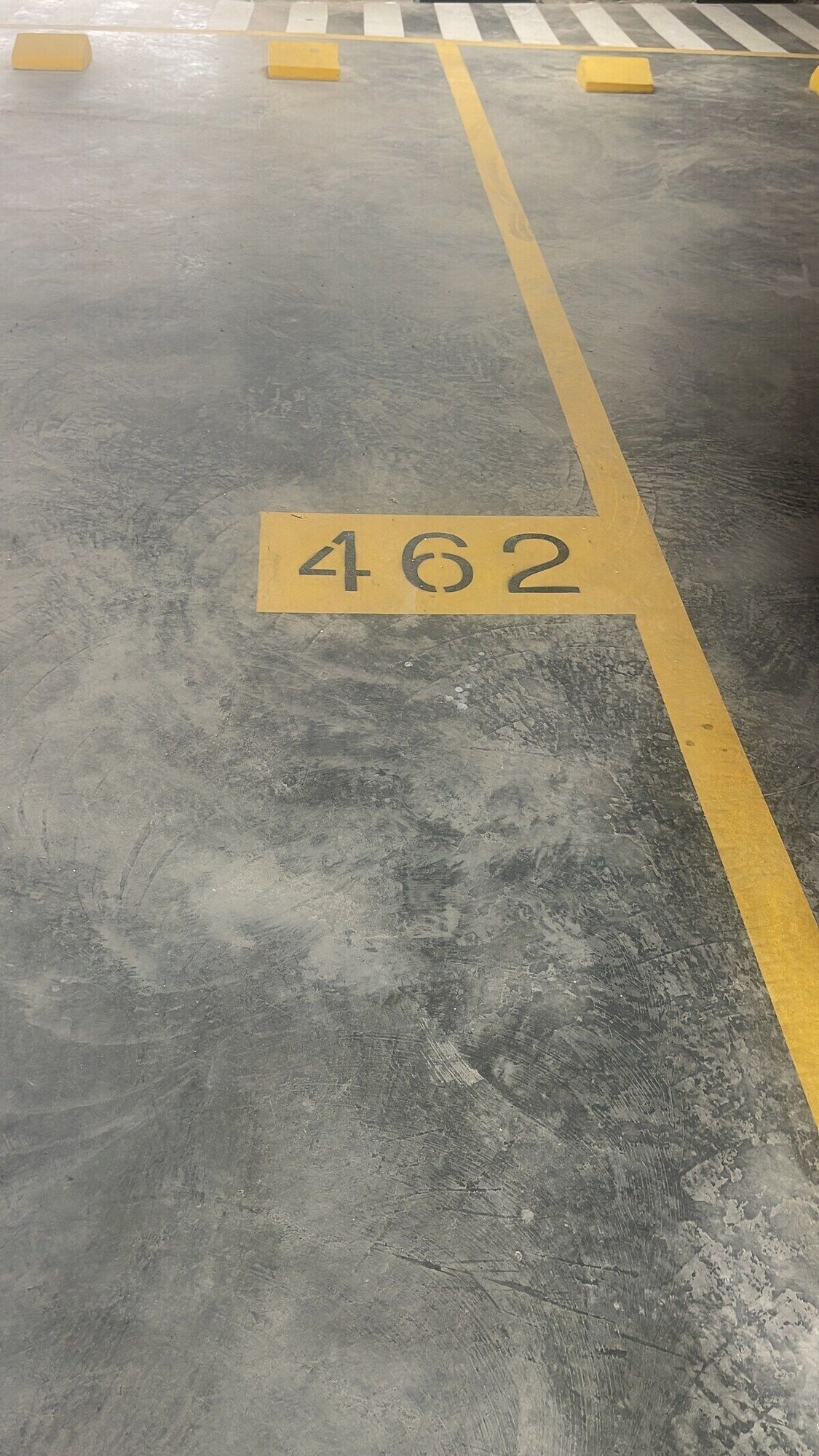 Imagen de perfil del propietario o de la propietaria