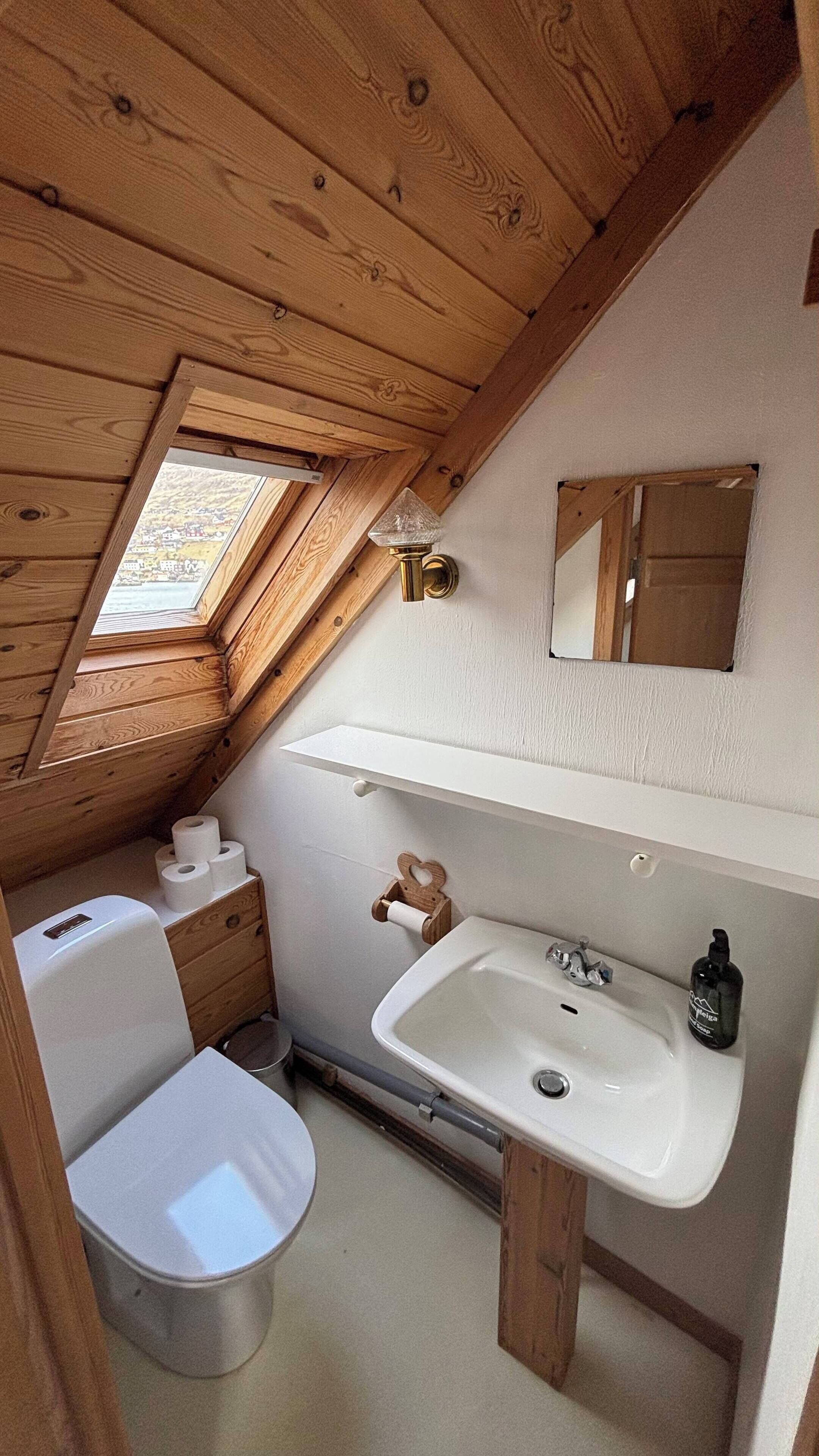 A compact, wooden-paneled bathroom with a skylight, a toilet, a sink, and a small mirror.