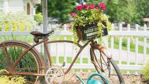 Ein altes Fahrrad mit Blumenkorb und Gießkanne.
