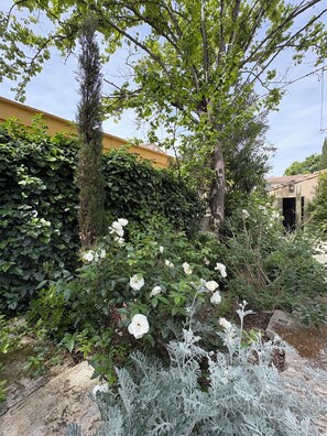 Property grounds - Mas provençal with swimming pool Oustau de Fontvieille (Fontvieille)