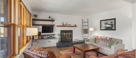 Smart TV, fireplace, video games, books