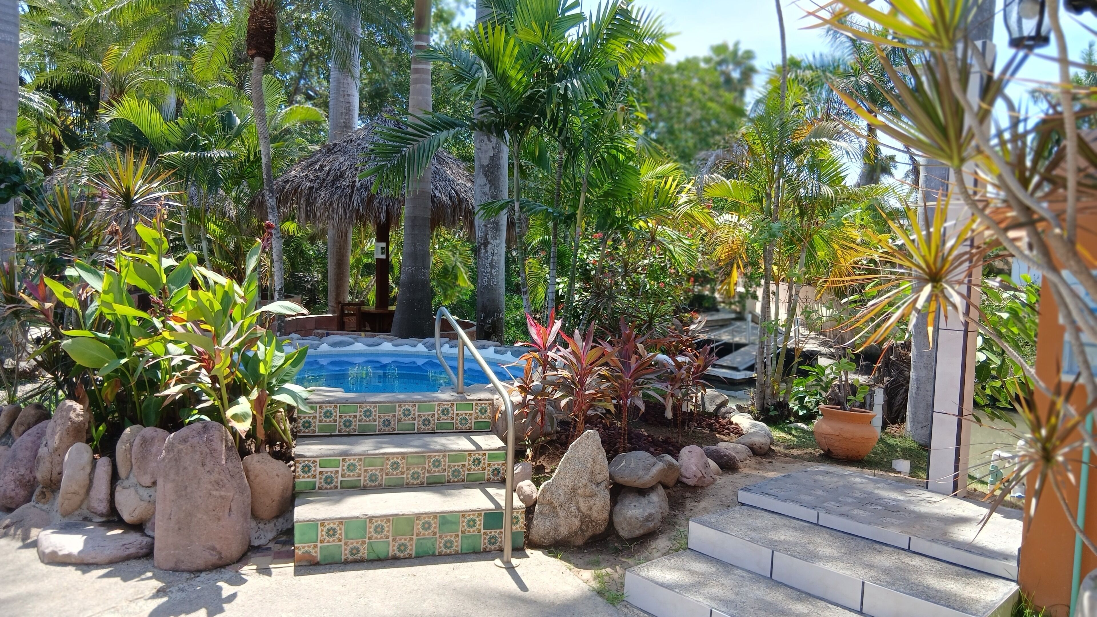 A pool surrounded by tropical plants and rocks, with steps leading to the pool.