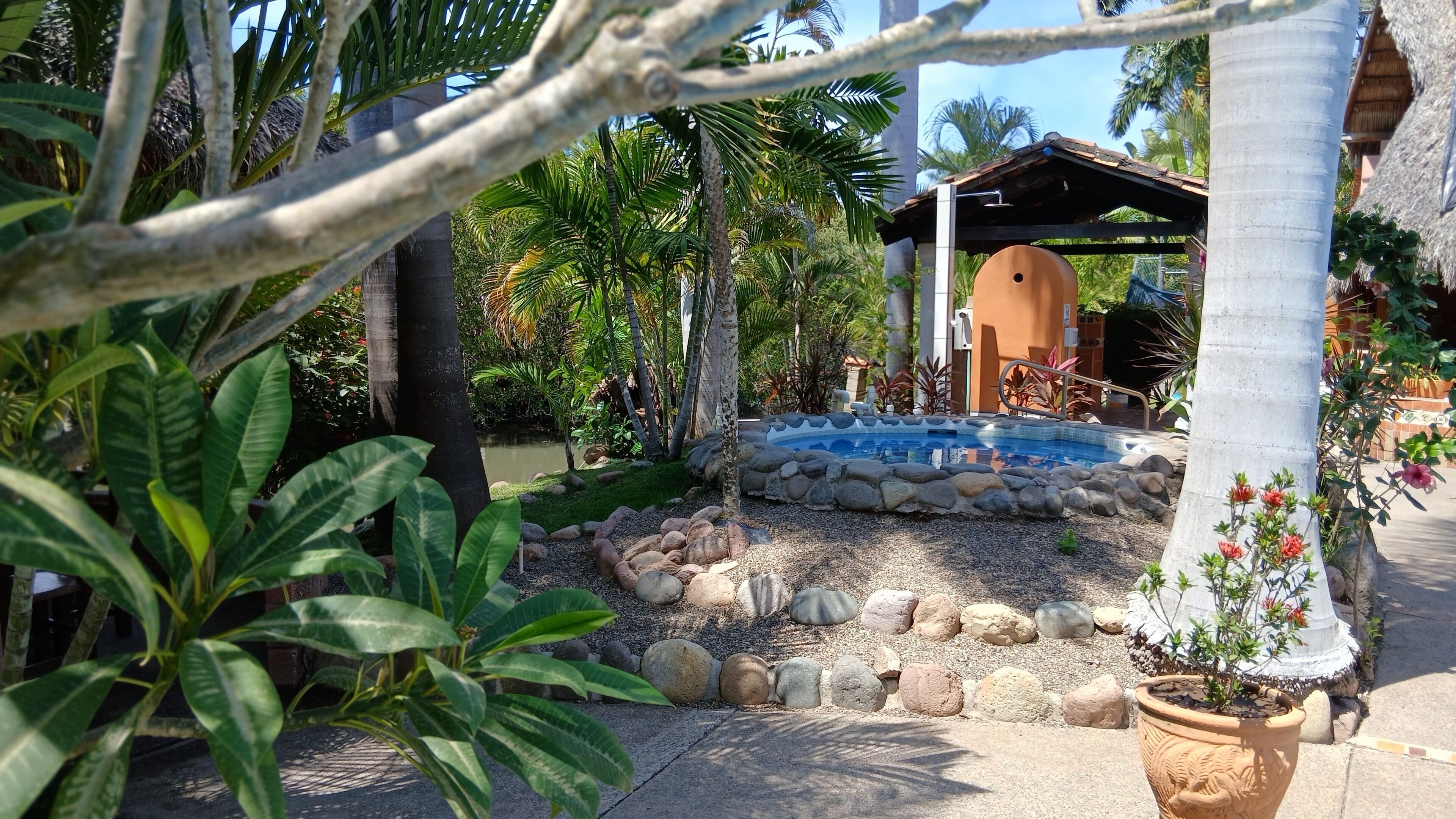 A pool surrounded by rocks and plants, a thatched-roof structure, and a palm tree.