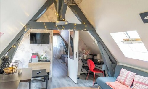 Le Cocon Appartement chaleureux hypercentre Blois