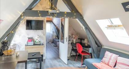 Le Cocon Appartement chaleureux hypercentre Blois