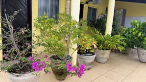 A courtyard with potted plants, a black door, and an air conditioning unit. - Pousada Terrissol (São Gonçalo do Amarante)